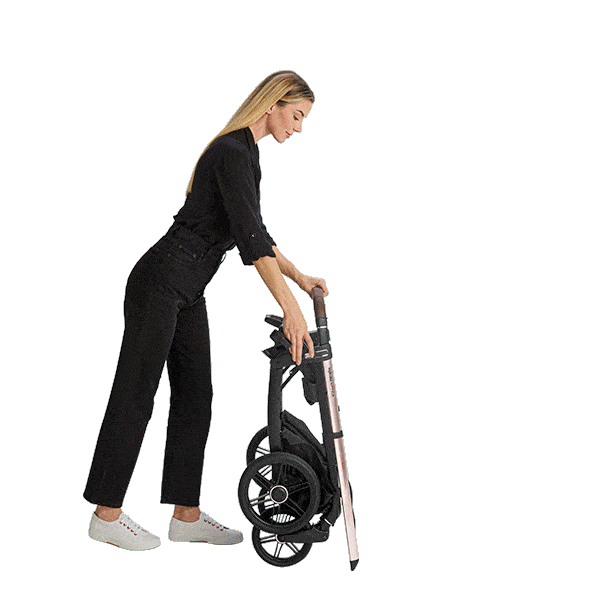 INGLESINA APTICA STROLLER PASHMINA BEIGE+CHASSIS PALLADIO BLACK 4 IN 1 FULL SET