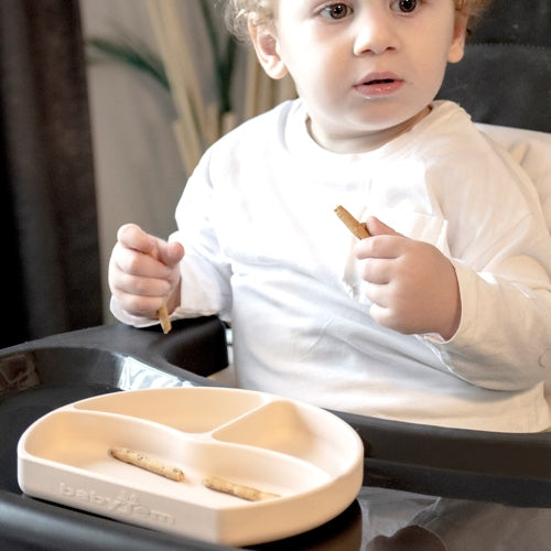 BABYJEM DIVIDED SILICON PLATE