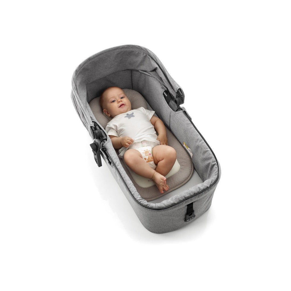 Jane Cushion Prevent Plagio With Matt.