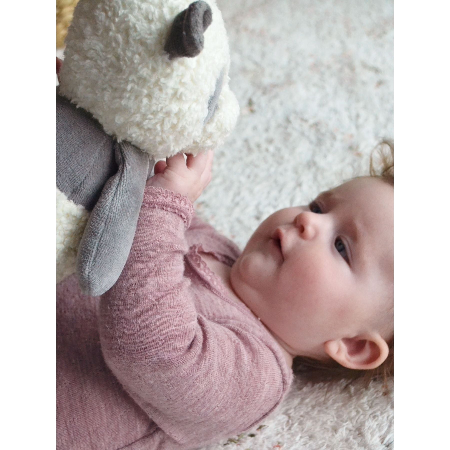 My Teddy My Organic Panda Soft Toy