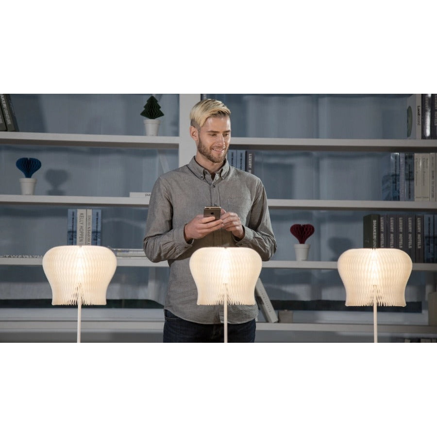 Quax Lamp - Namum Dlight (Table Lamp)