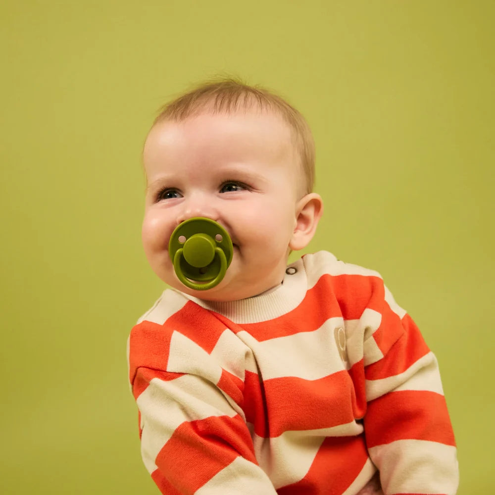 Bibs De Lux Pacifiers 2 Pack Silicone One Size( 0-3 Years)
