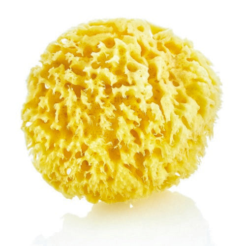 BABYJEM NATURAL SEA SPONGE / NATUREL