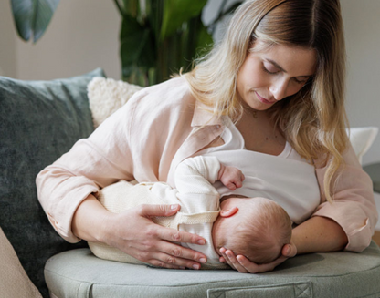 INGLESINA NURSING PILLOW ELYSIA DELICATE