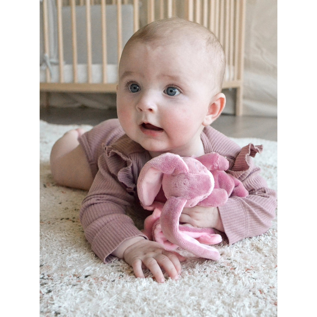 My Teddy My Newborn Collection Security Blanket - Pink